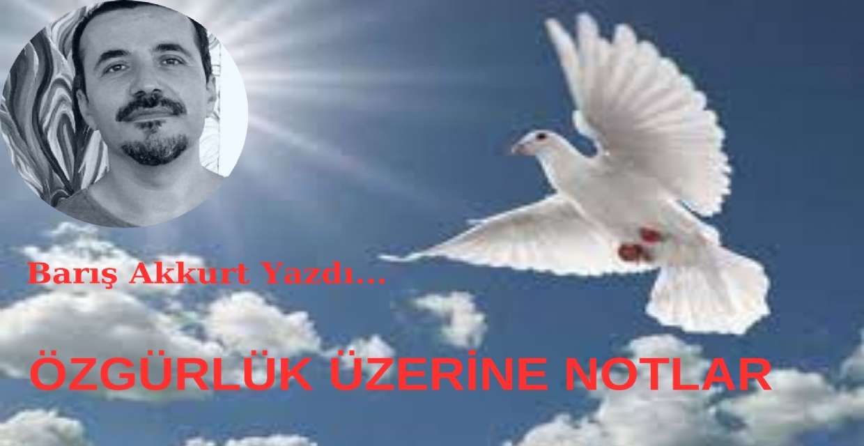 Özgürlük Üzerine Notlar