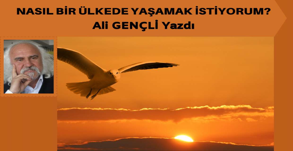 Nasıl Bir Ülkede Yaşamak İstiyorum?