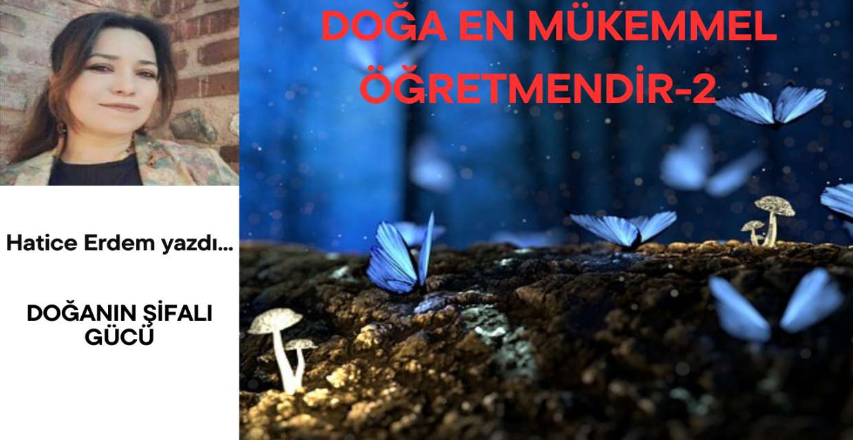 DOĞA EN MÜKEMMEL ÖĞRETMENDİR-2