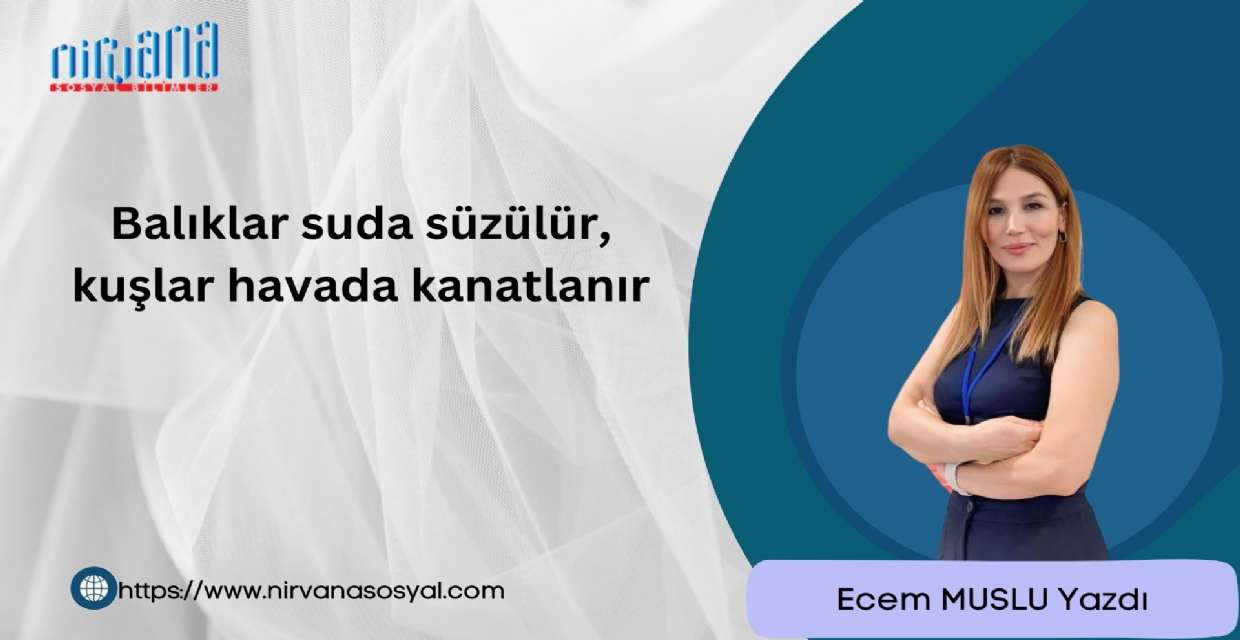 Balıklar suda süzülür, kuşlar havada kanatlanır