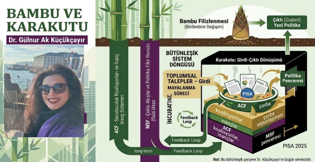 Bambu ve Karakutu