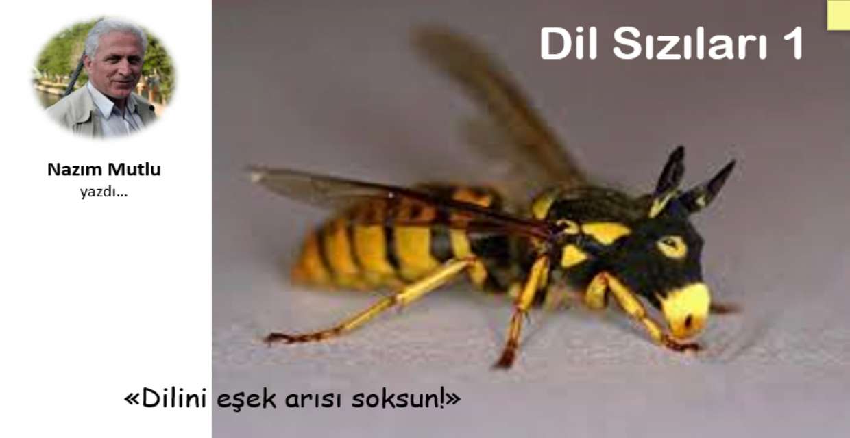Dil Sızıları 1