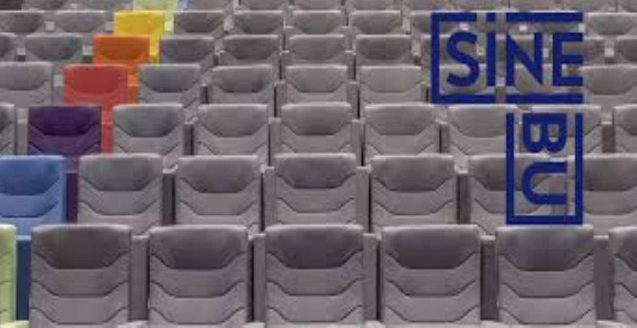 Sine Bu Sinema Salonu ve Seyir Kültürü