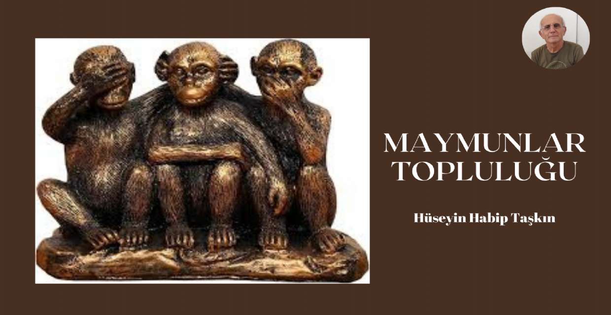 Öykü: Maymunlar Topluluğu