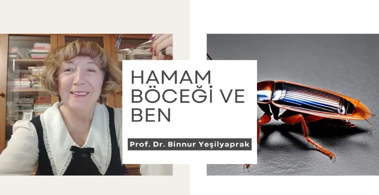 Hamam Böceği ve Ben