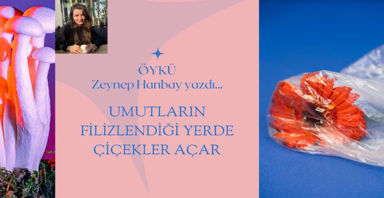 UMUTLARIN FİLİZLENDİĞİ YERDE ÇİÇEKLER AÇAR