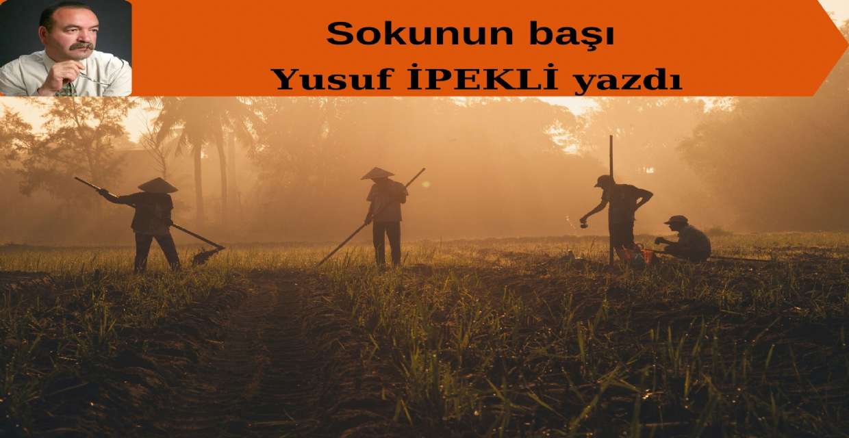 Sokunun başı