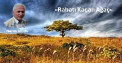 “RAHATI KAÇAN AĞAÇ”