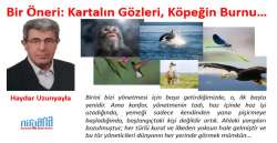 Bir Öneri: Kartalın Gözleri, Köpeğin Burnu……………