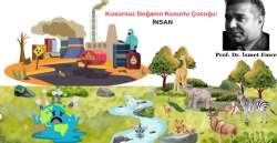 Kusursuz Doğanın Kusurlu Çocuğu: İnsan